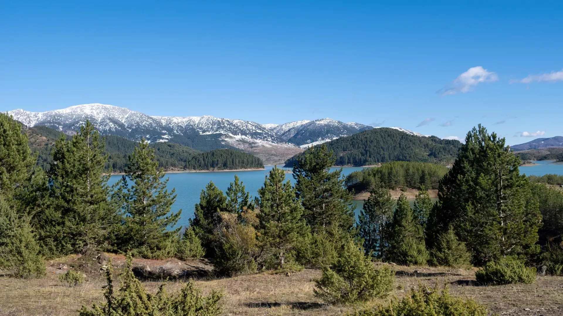 Πηγή : Shutterstock